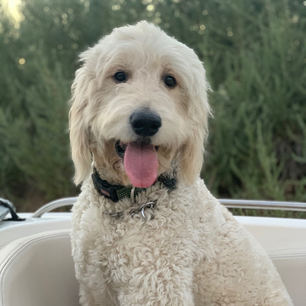 Meet your Posher, Christa